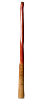 Tristan O'Meara Didgeridoo (TM449)